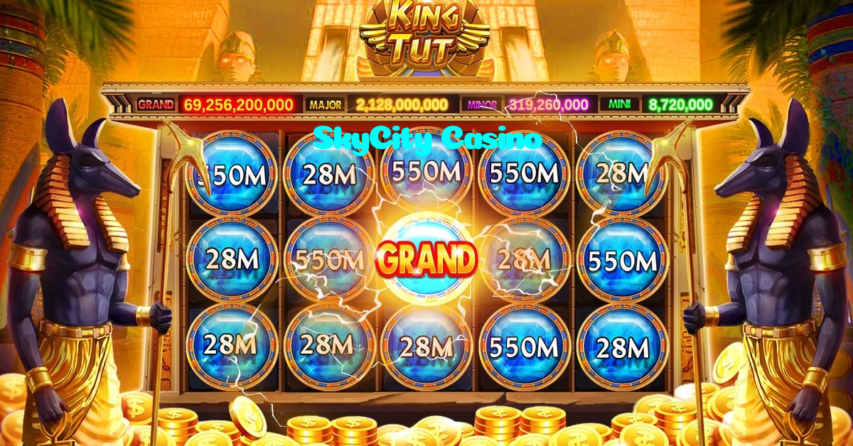 available types of SkyCity Casino bet including pre-match live express and system bets